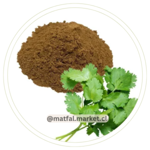 Cilantro en Polvo 500 gr
