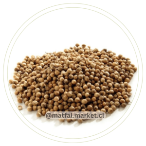Cilantro Semilla 500 gr