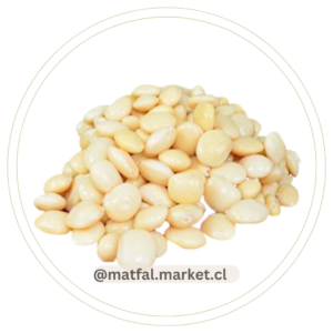 Poroto Tarwi o Chocho 1 kg