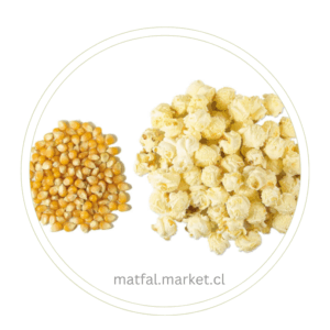 Pop Corn Mushroom o Hongo